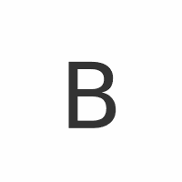 Bradford White logo
